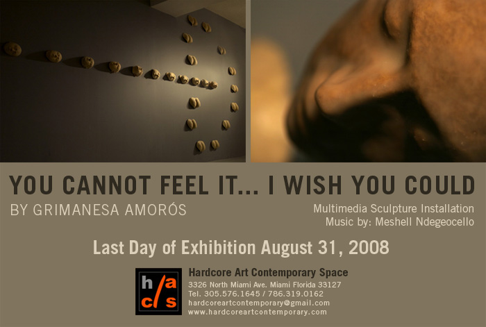 HACS - You Cannot Feel It... I Wish You Could