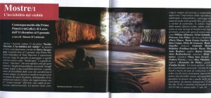 Picchio Magazine article Grimanesa Amoros installation